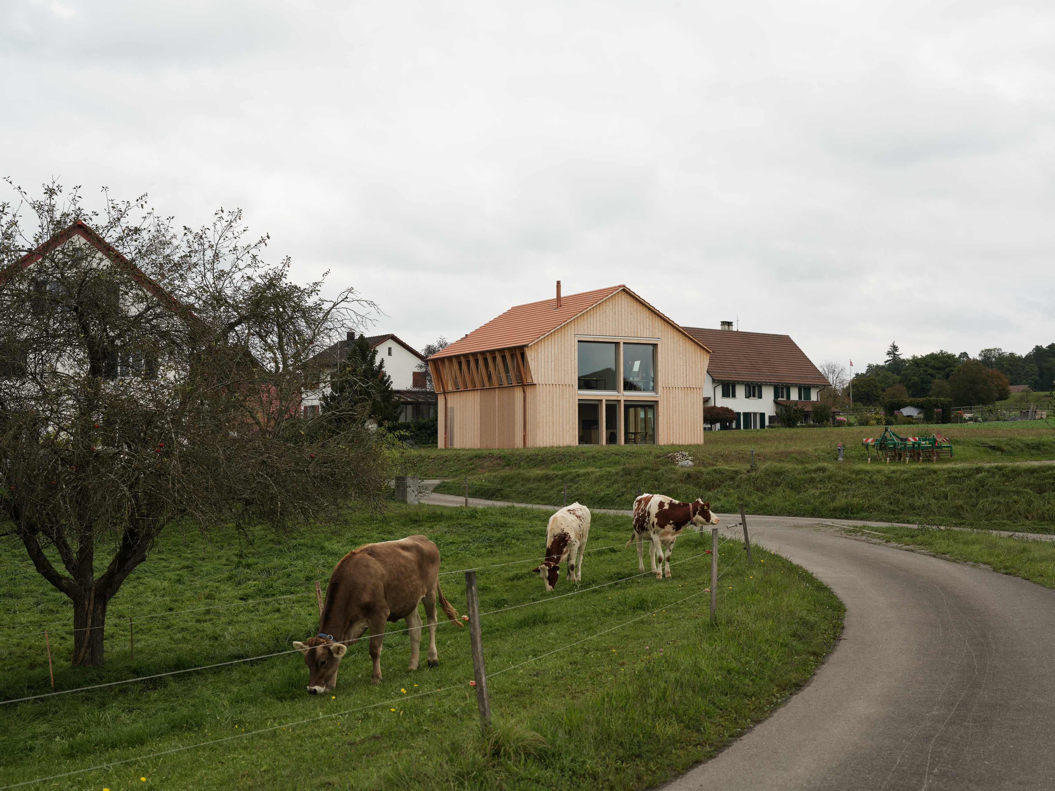 001_Marazzi_Reinhardt_Ellikon_www.schaubstierli.com