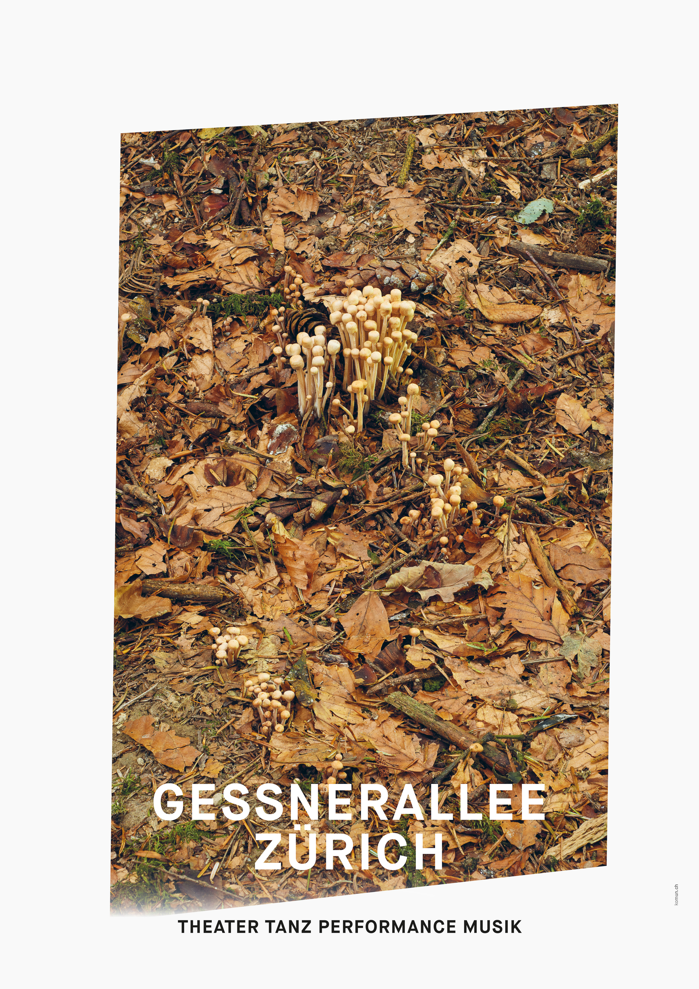 008_Gessnerallee_www.schaubstierli.com