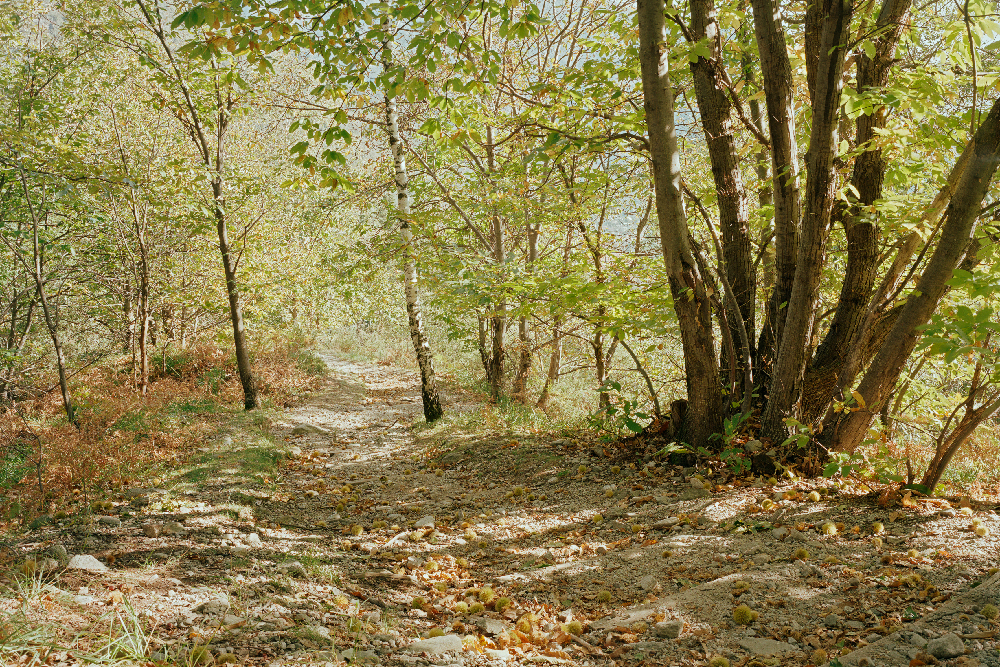 005_Faido_www.schaubstierli.com