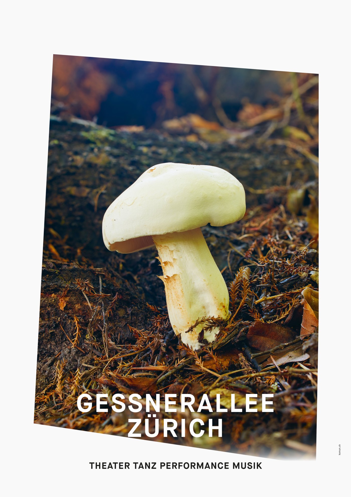 Gessnerallee / Komun