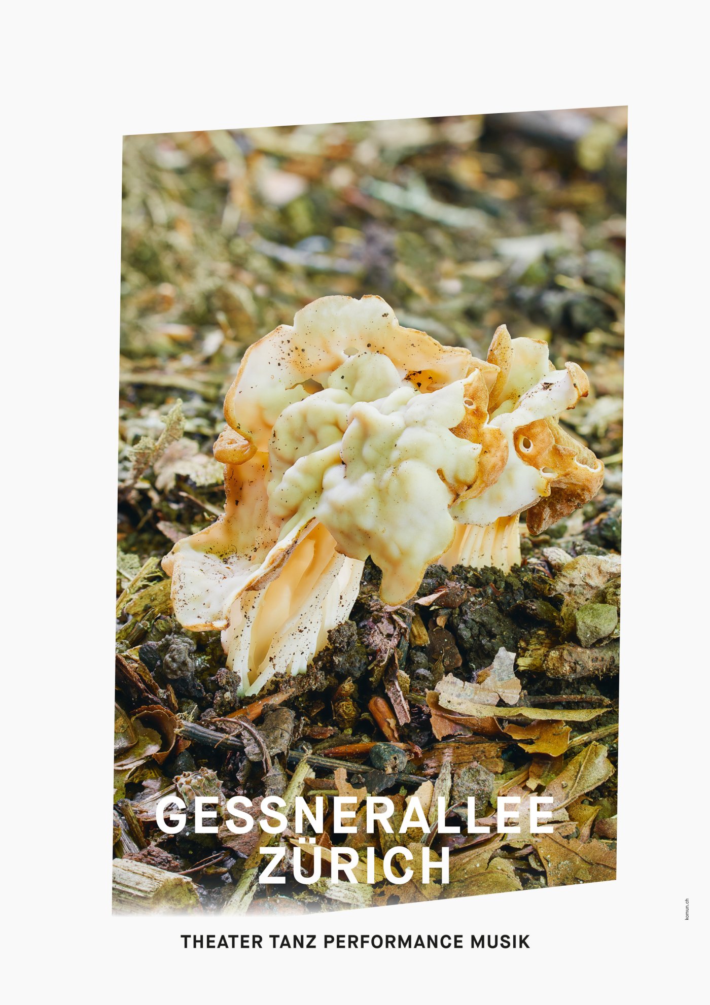 Gessnerallee / Komun