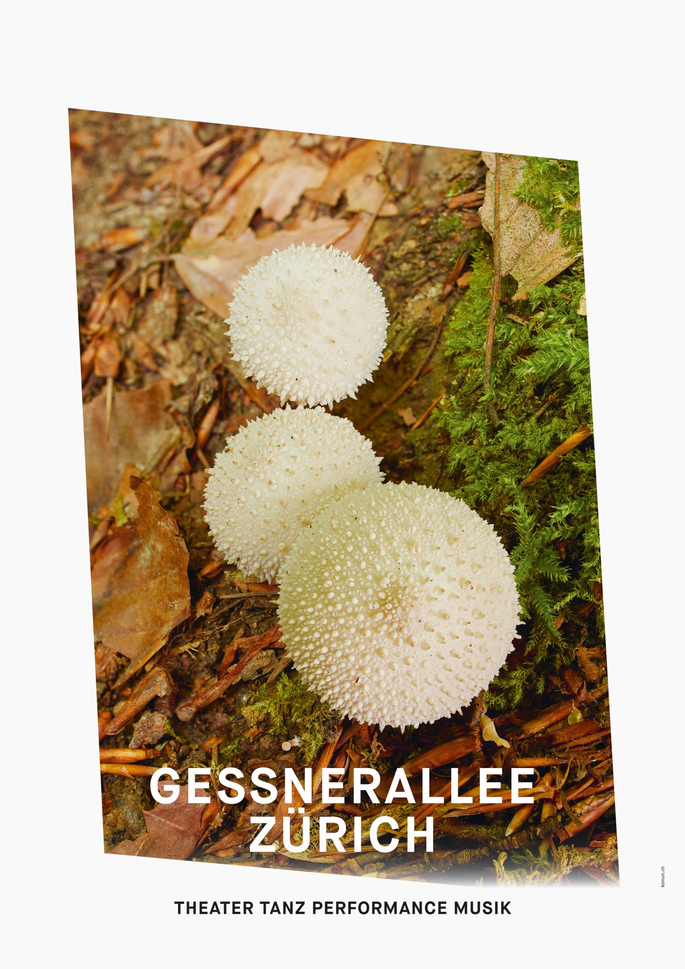 Gessnerallee / Komun