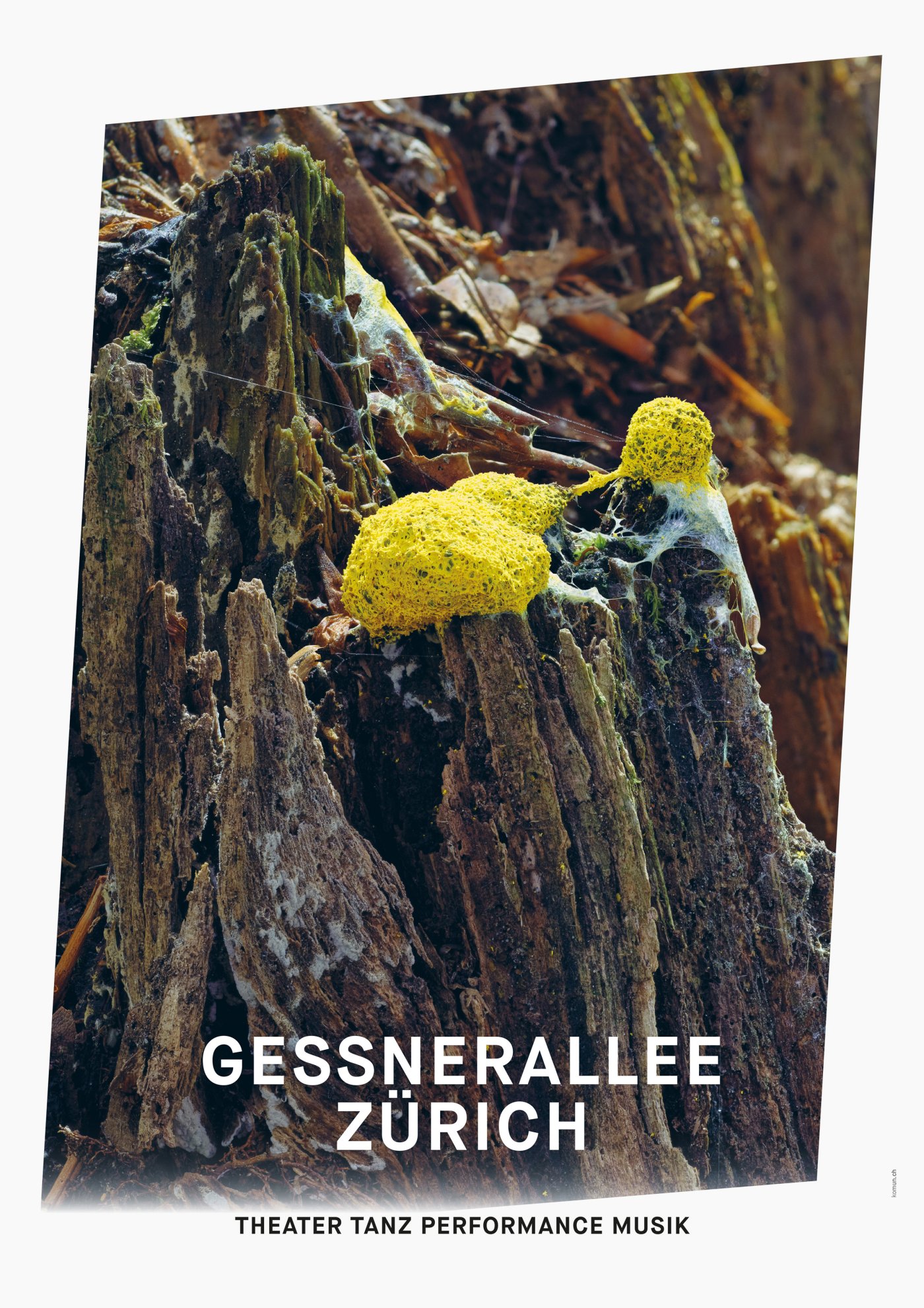 Gessnerallee / Komun