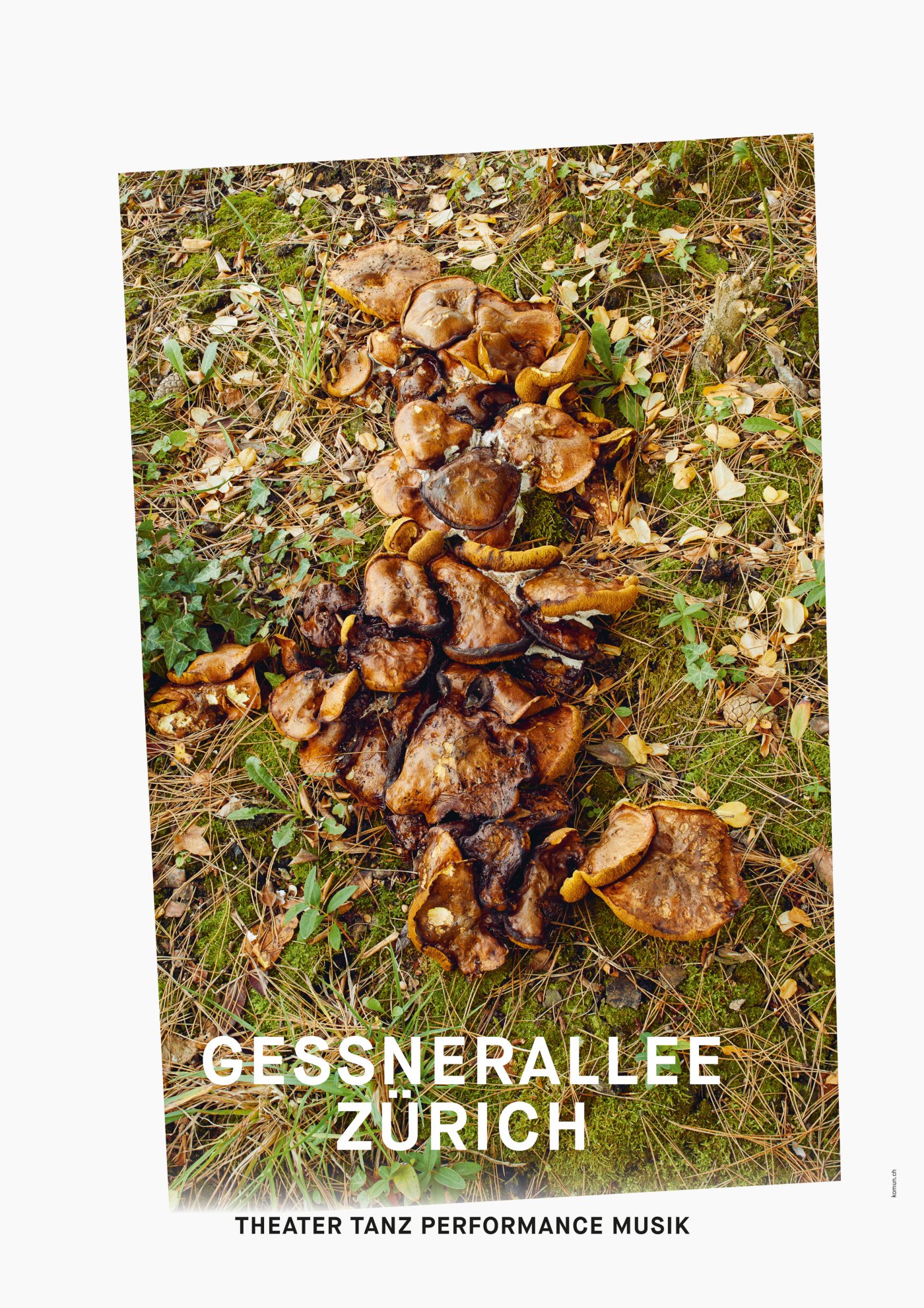 Gessnerallee / Komun