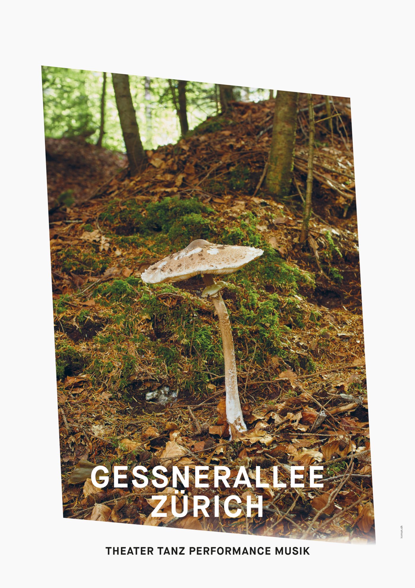 Gessnerallee / Komun