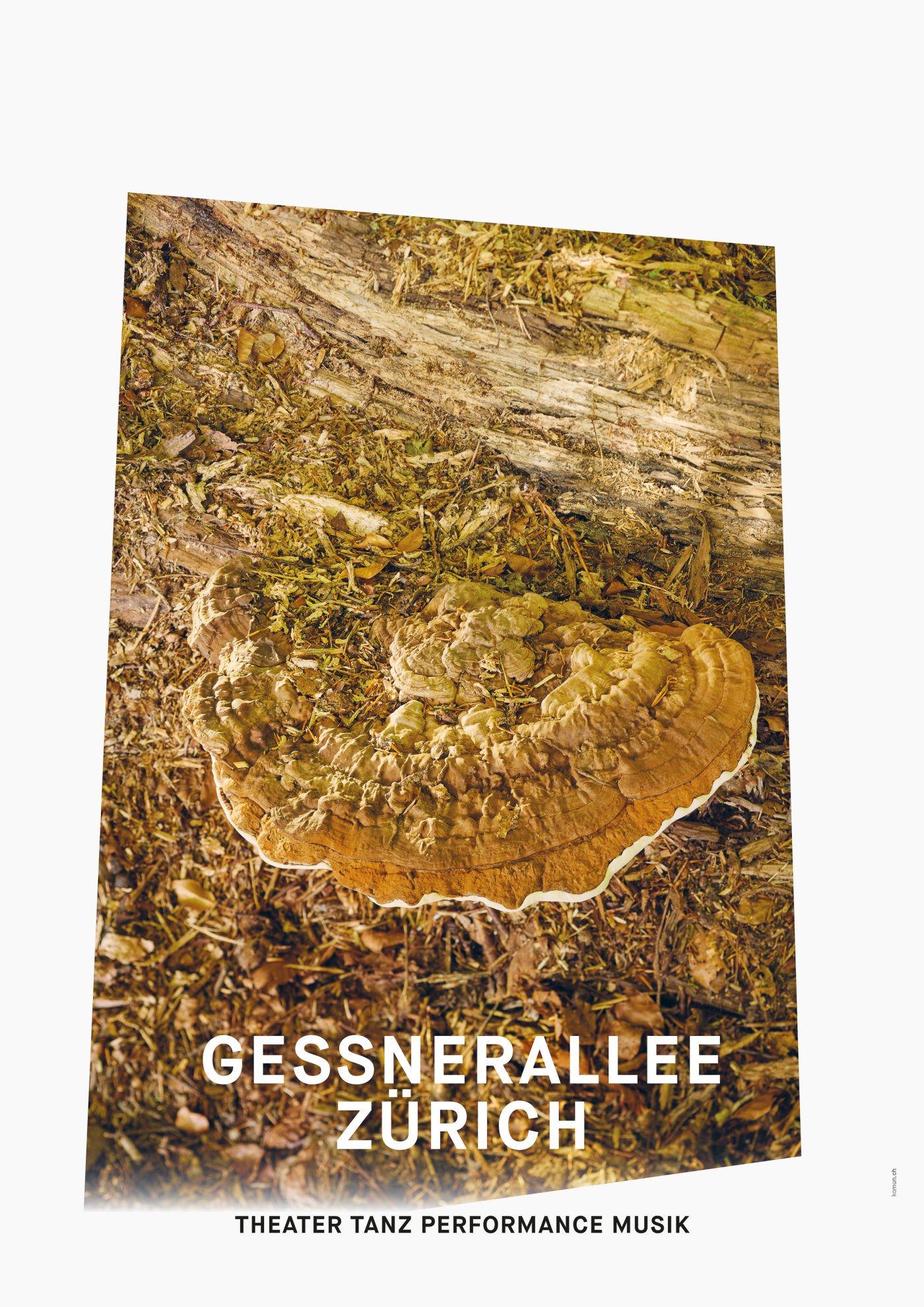 Gessnerallee / Komun
