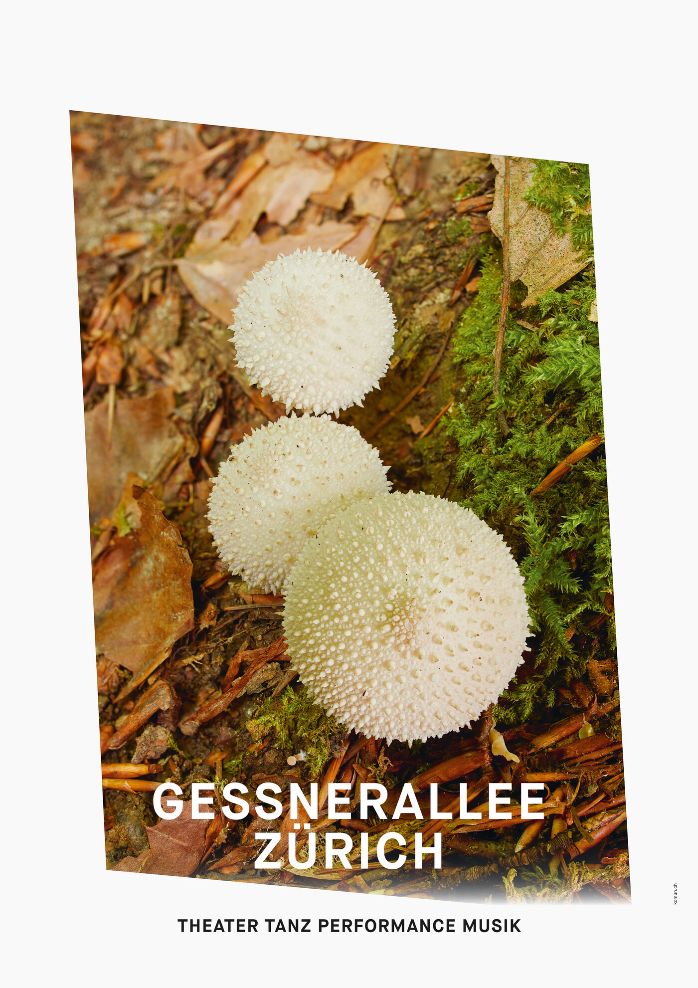 Gessnerallee / Komun