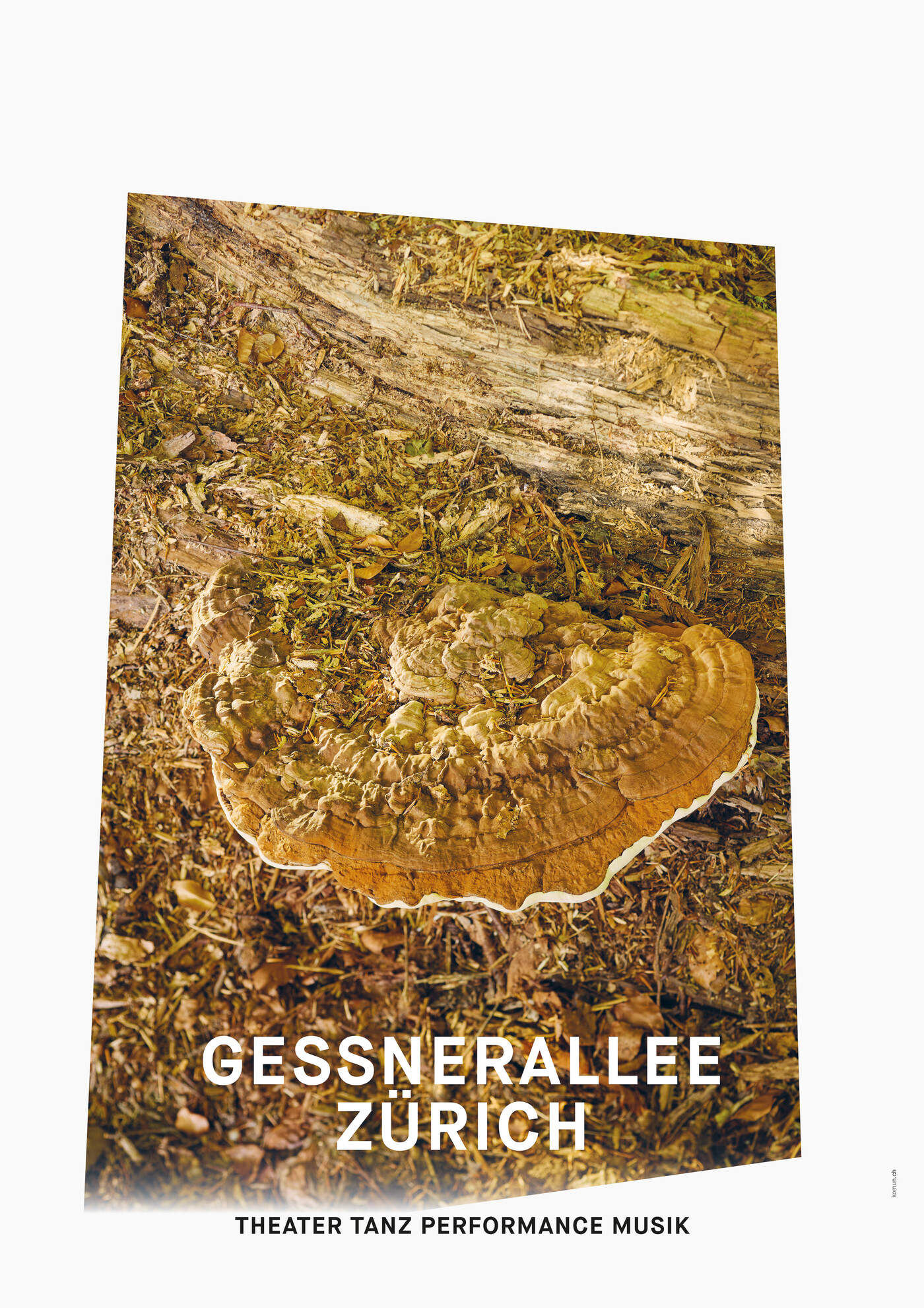 Gessnerallee / Komun