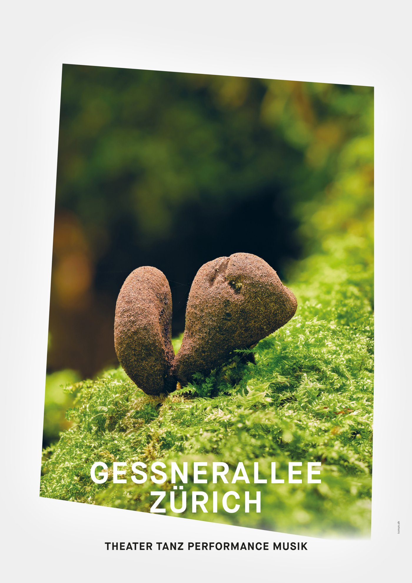 Gessnerallee / Komun