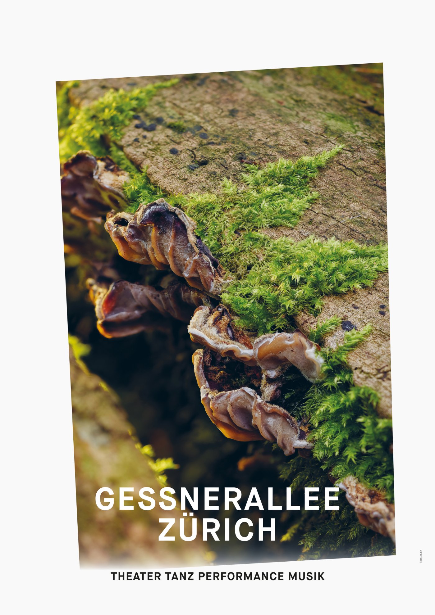 Gessnerallee / Komun