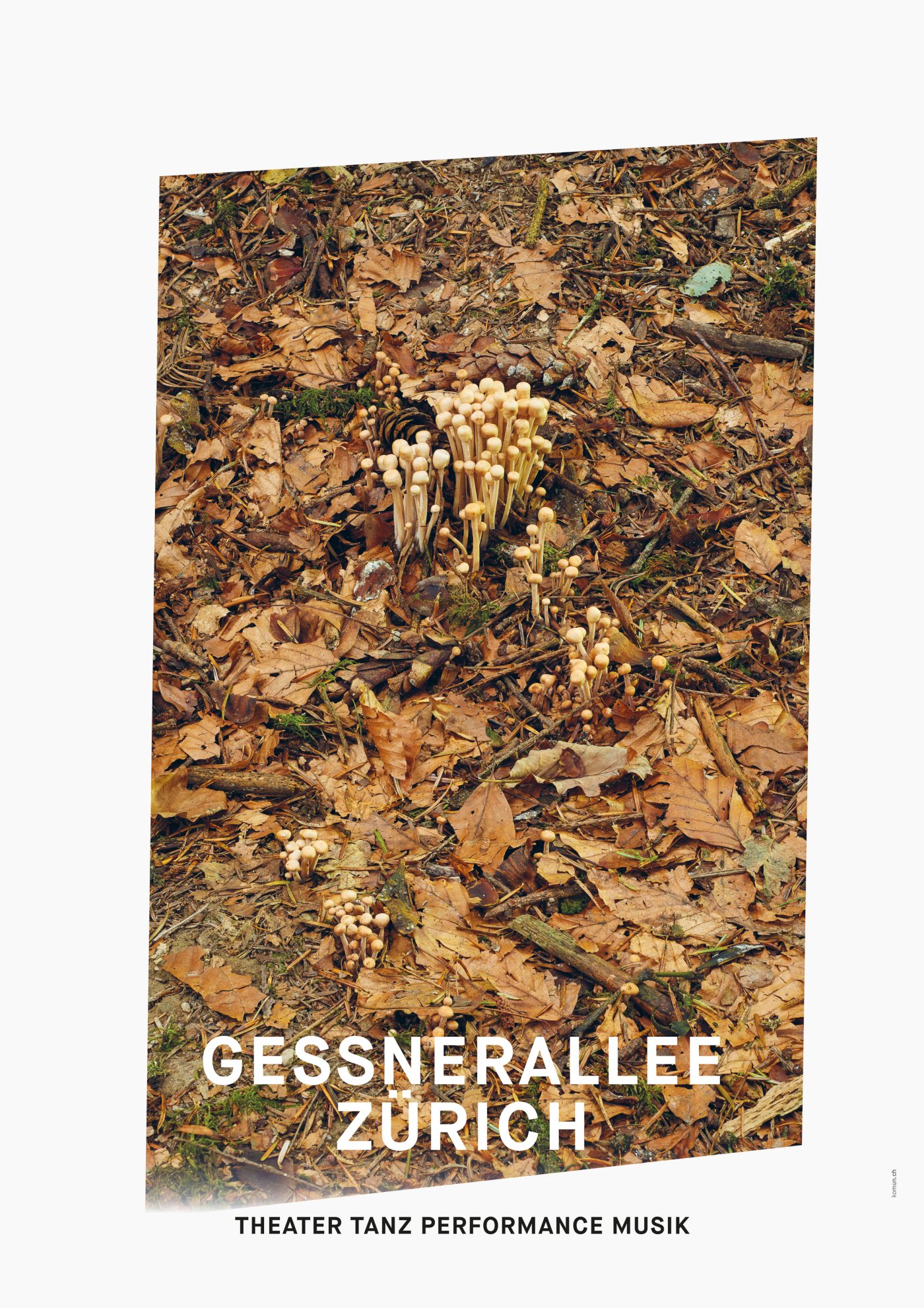 Gessnerallee / Komun