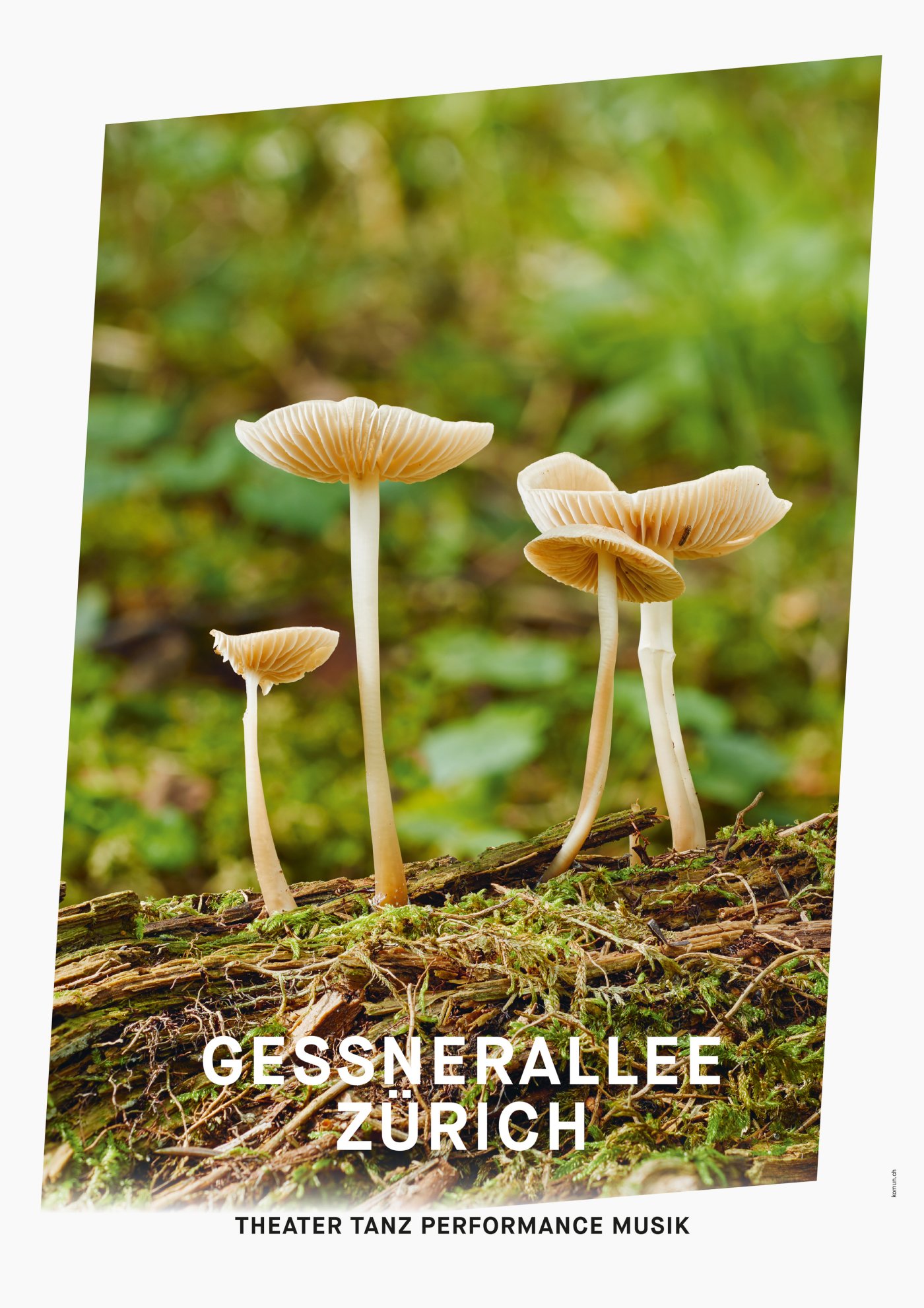 Gessnerallee / Komun