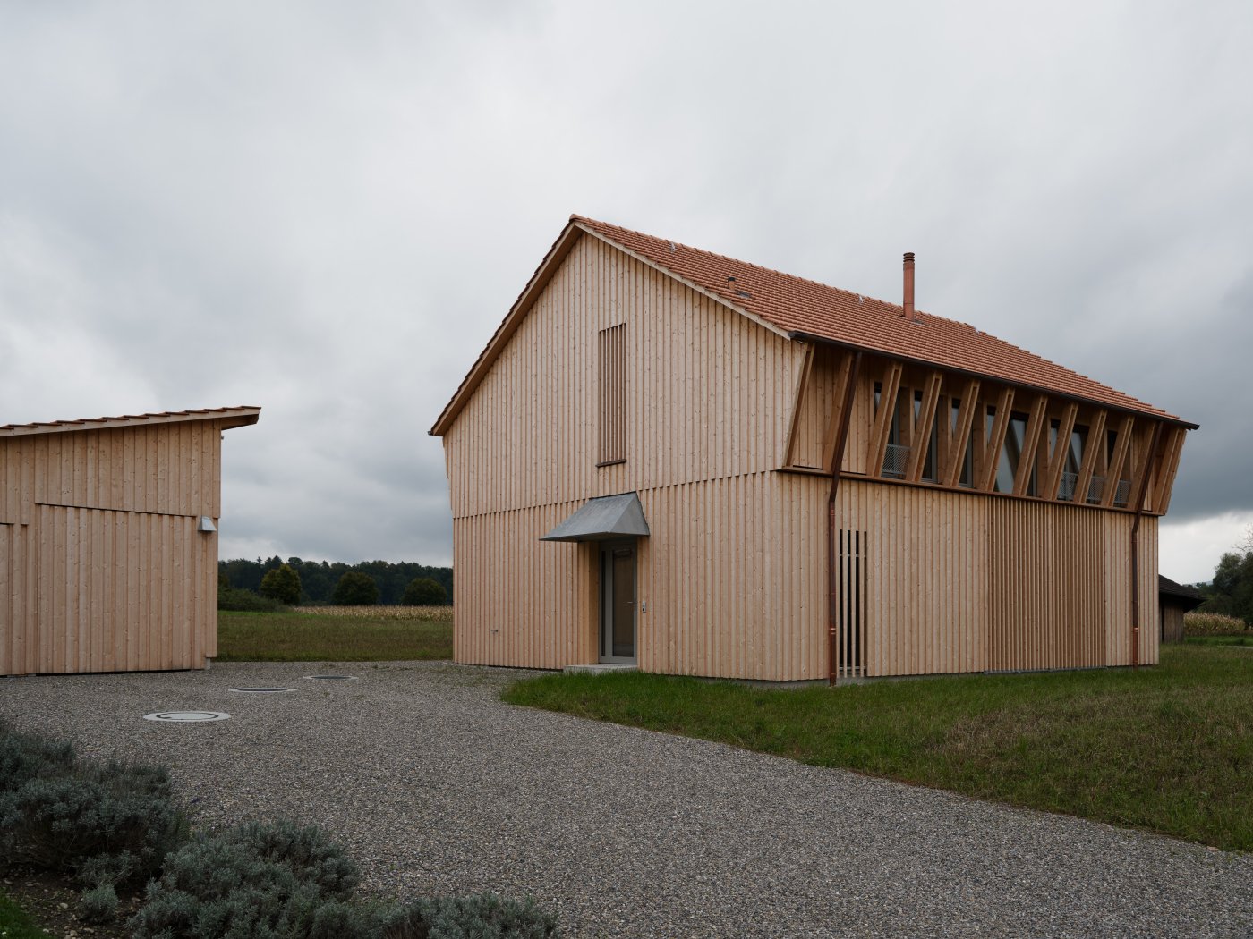 Marazzi Reinhardt / Ellikon