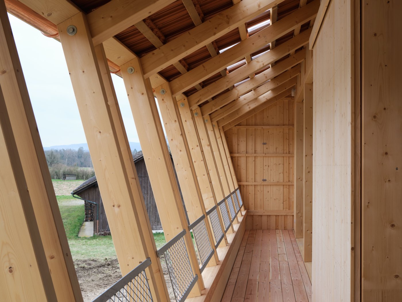 Marazzi Reinhardt / Ellikon