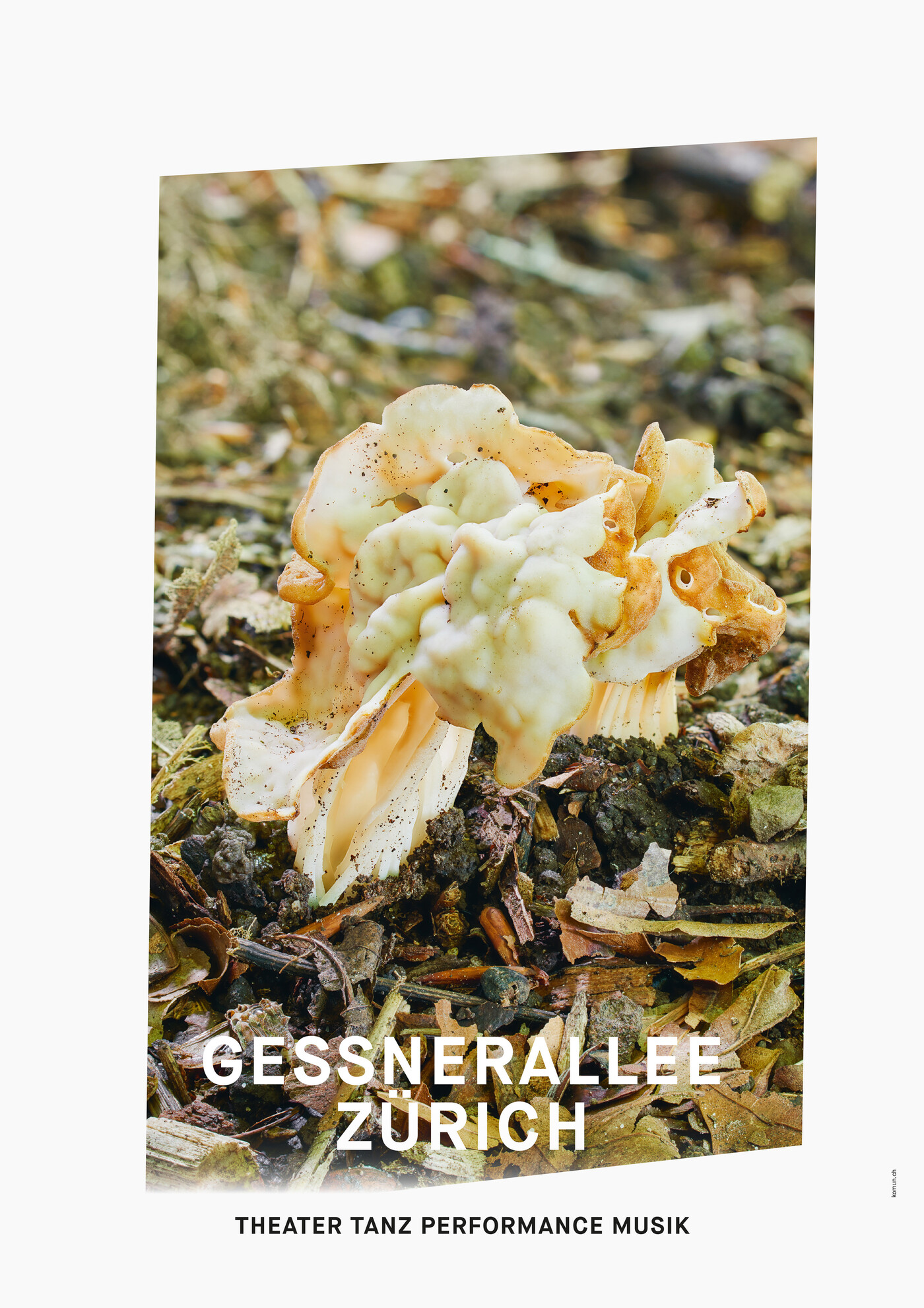 Gessnerallee / Komun