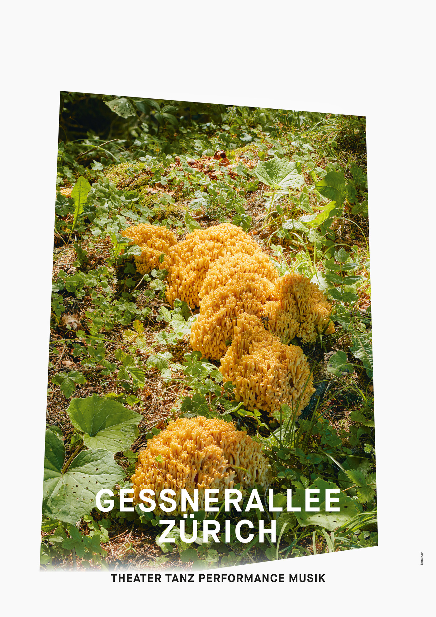Gessnerallee / Komun