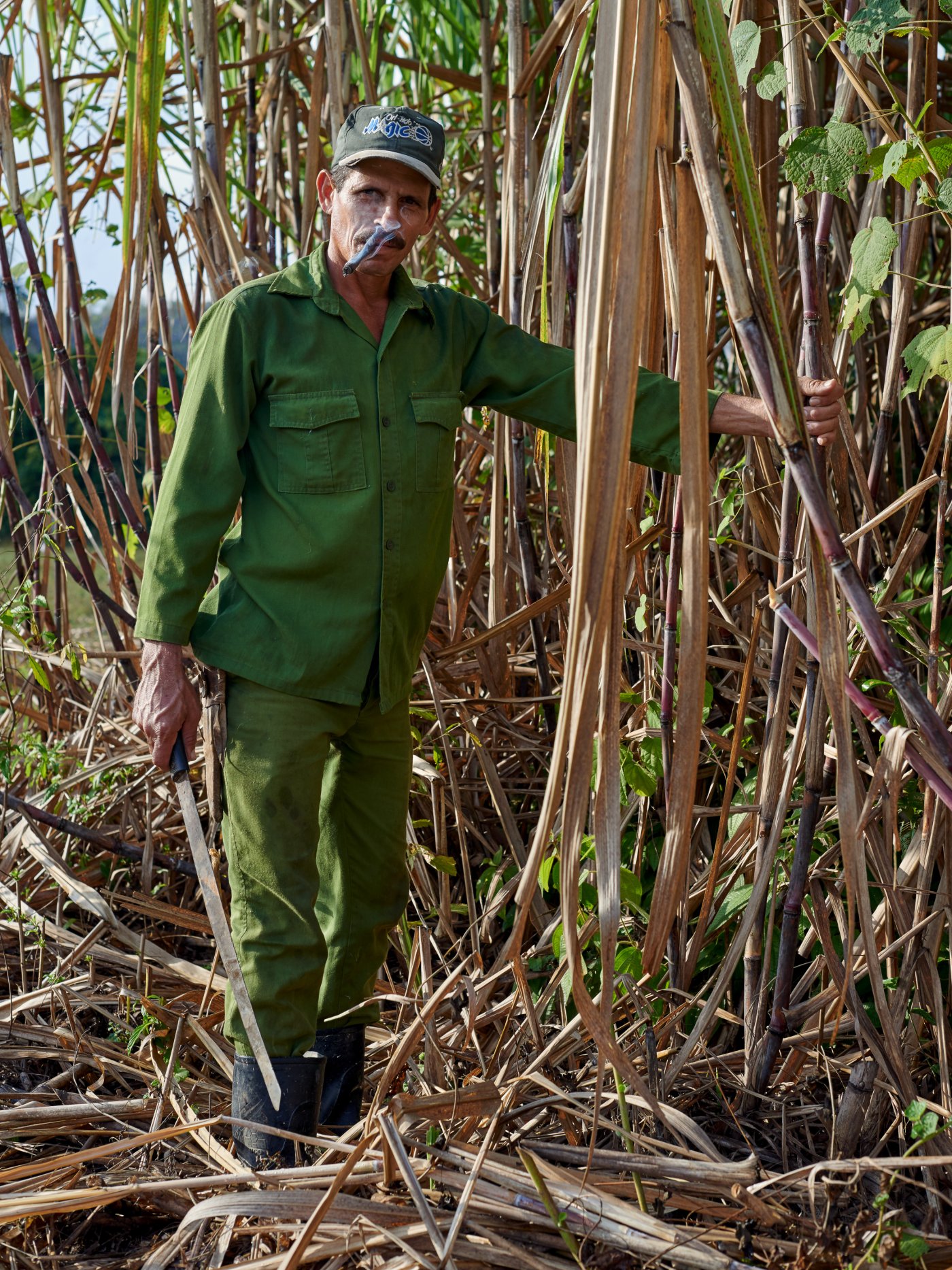 Cuba / Valle de Viñales, Havana