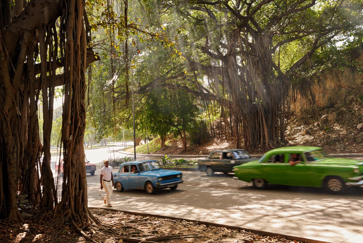 Cuba / Valle de Viñales, Havana