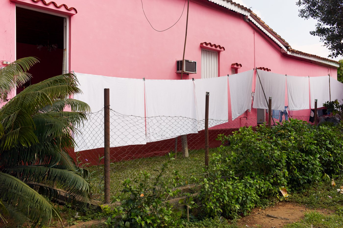 Cuba / Valle de Viñales, Havana