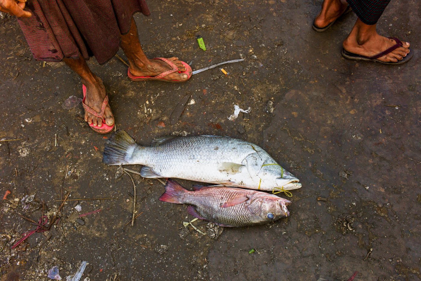 Myanmar /  Sittwe