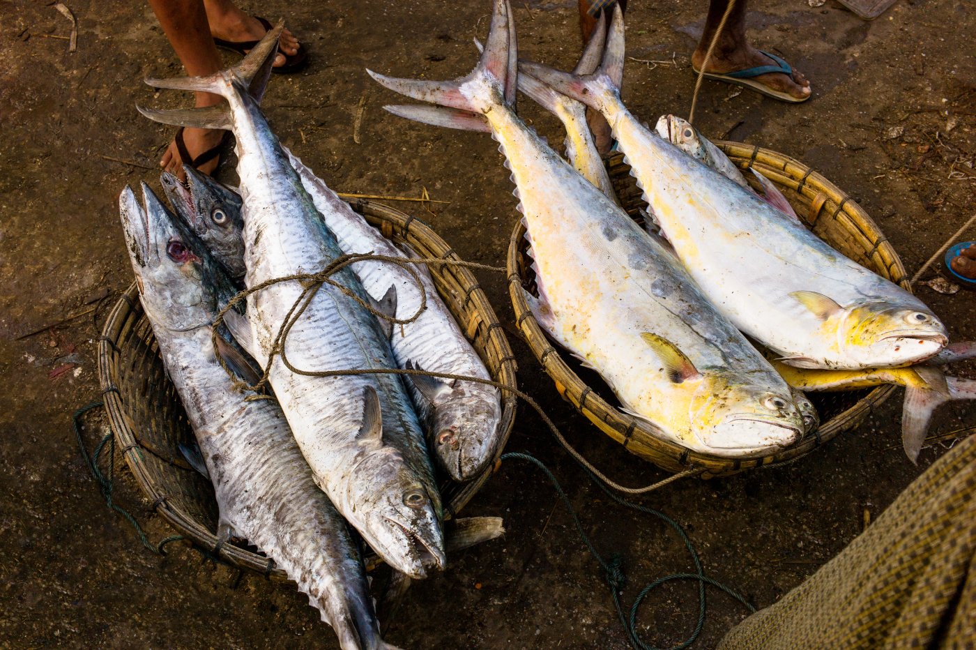 Myanmar /  Sittwe