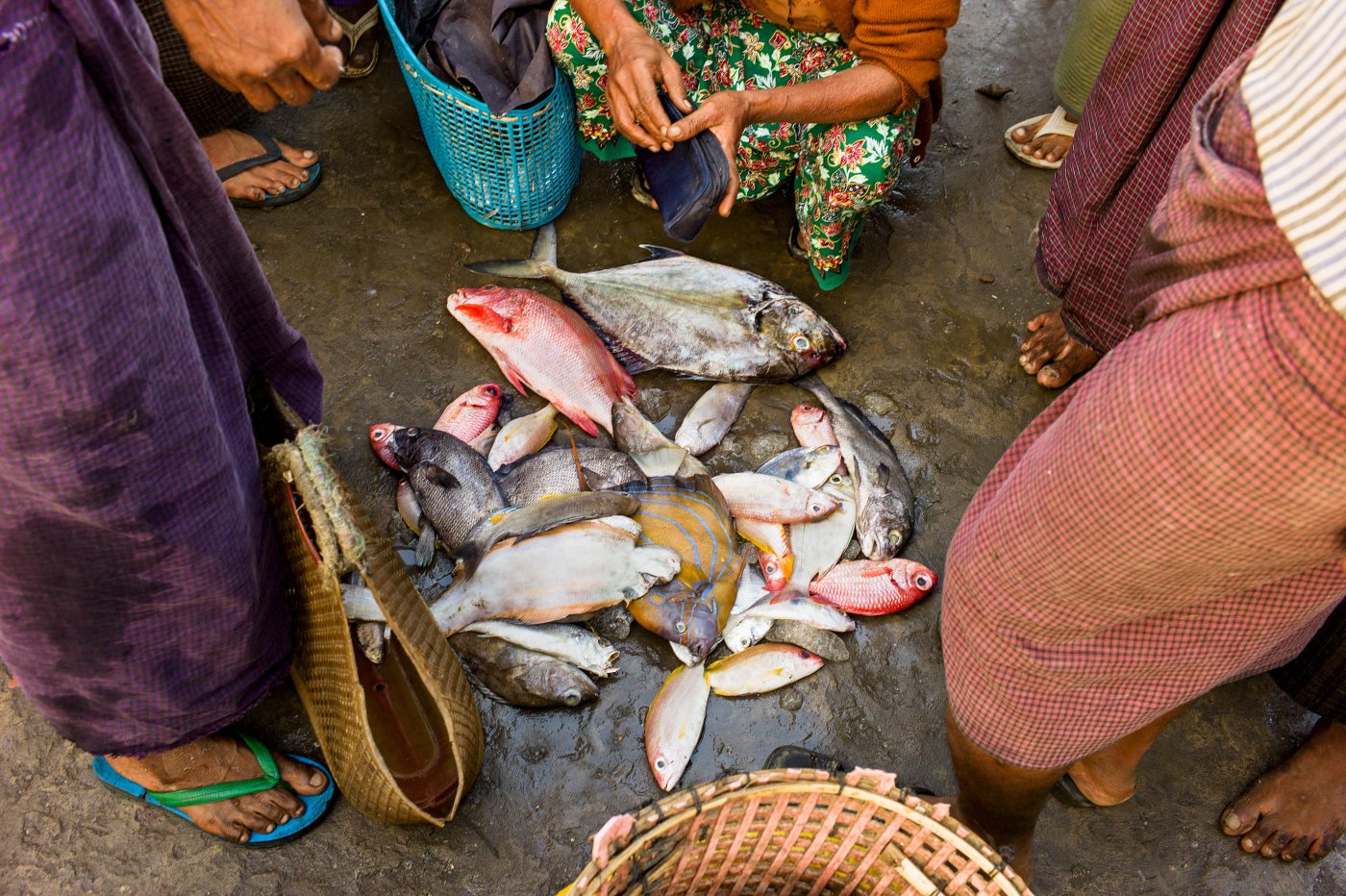 Myanmar /  Sittwe
