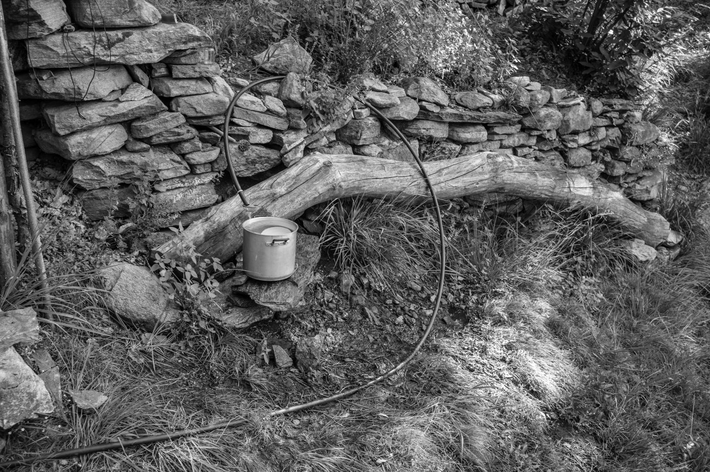 Pianello / 2010-2026