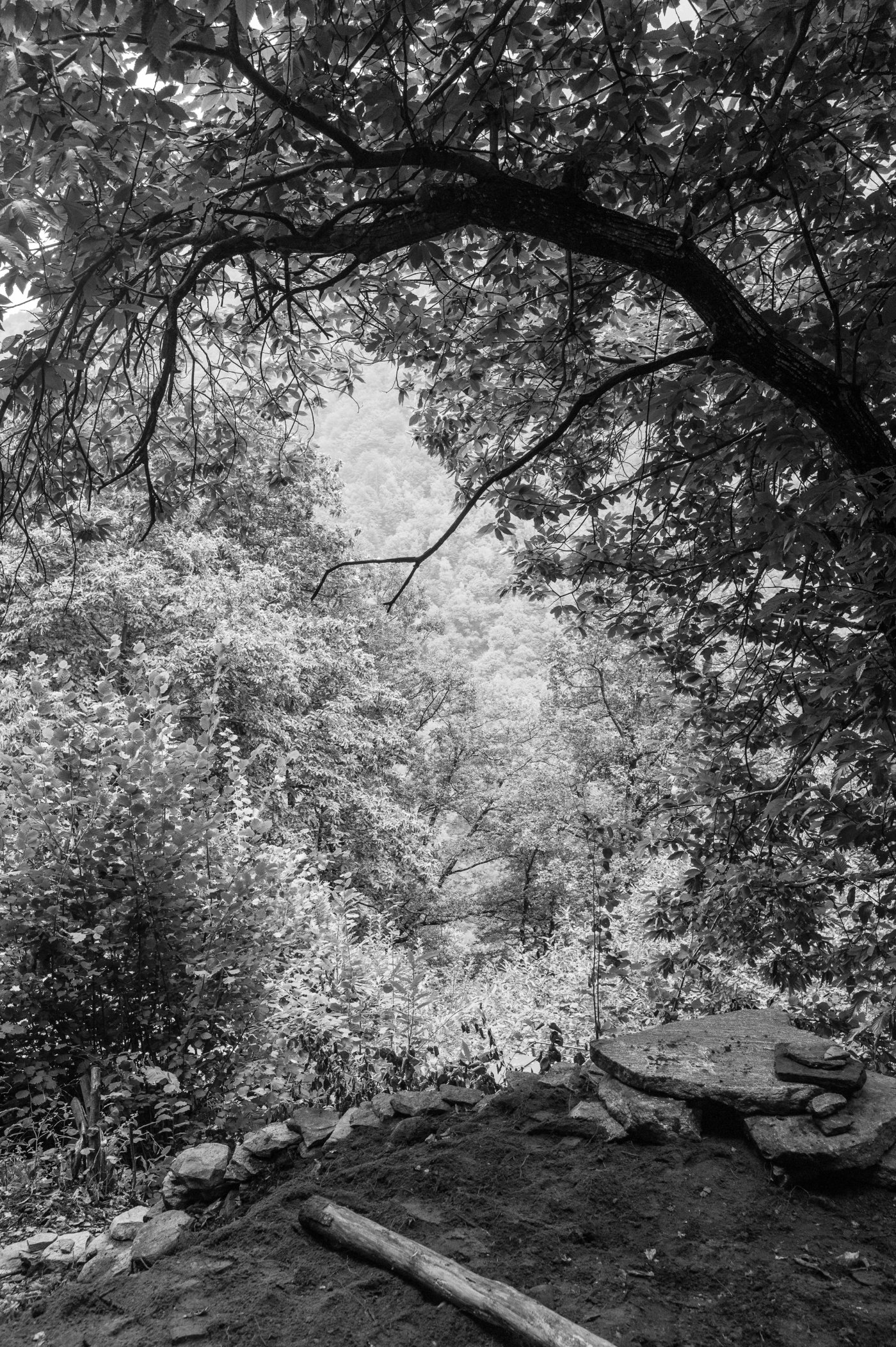 Pianello / 2010-2026