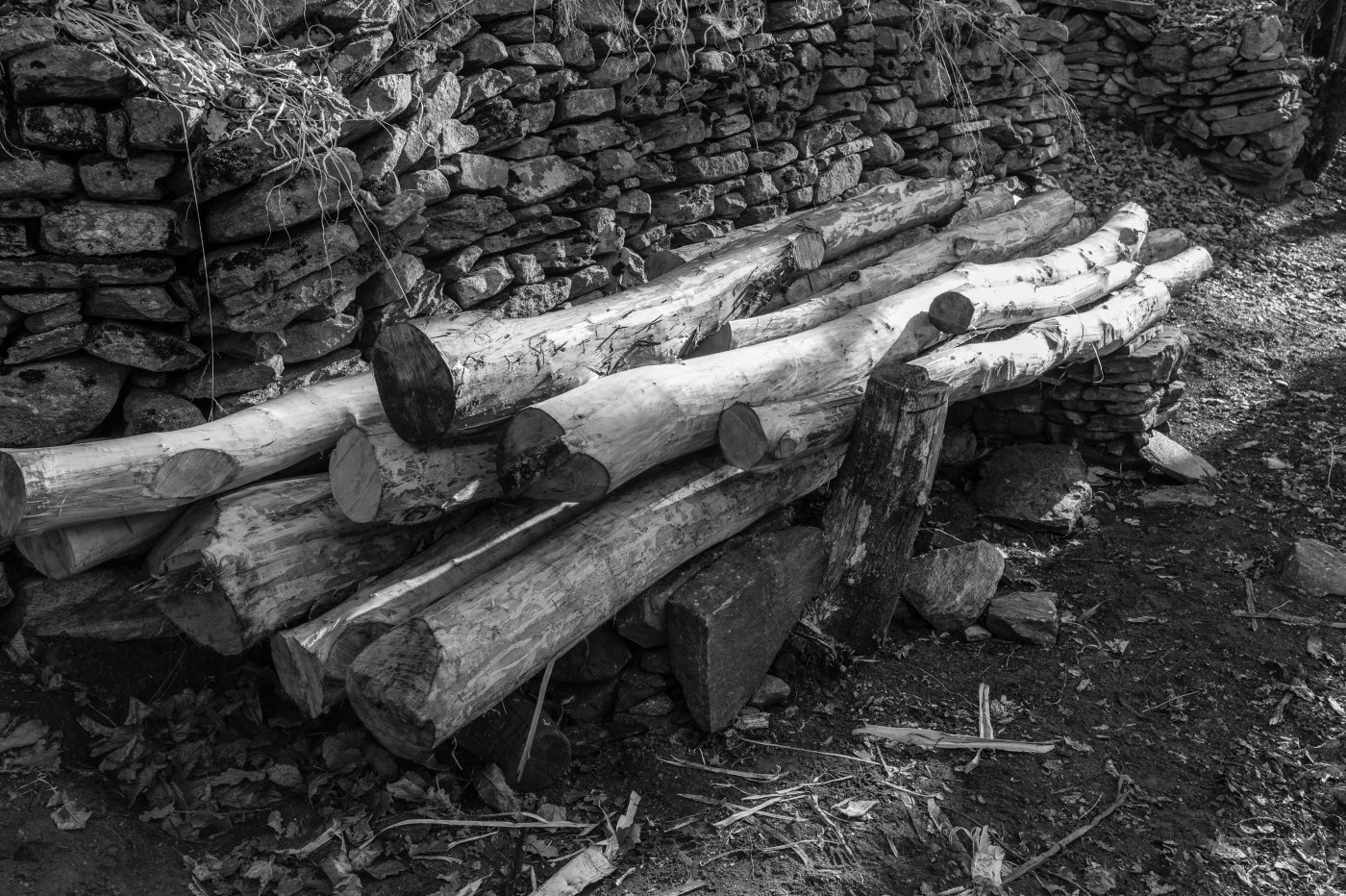 Pianello / 2010-2026