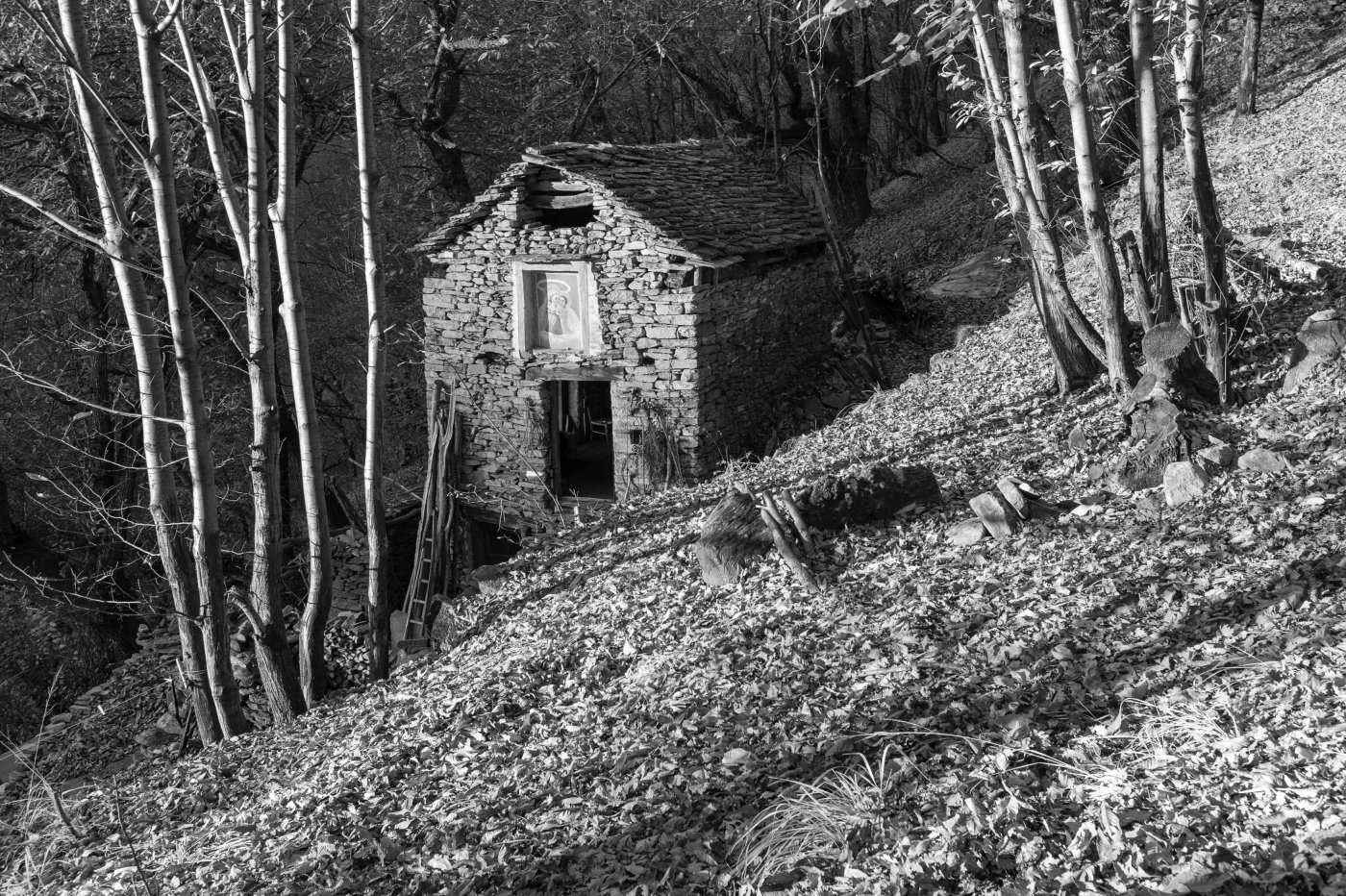 Pianello / 2010-2026