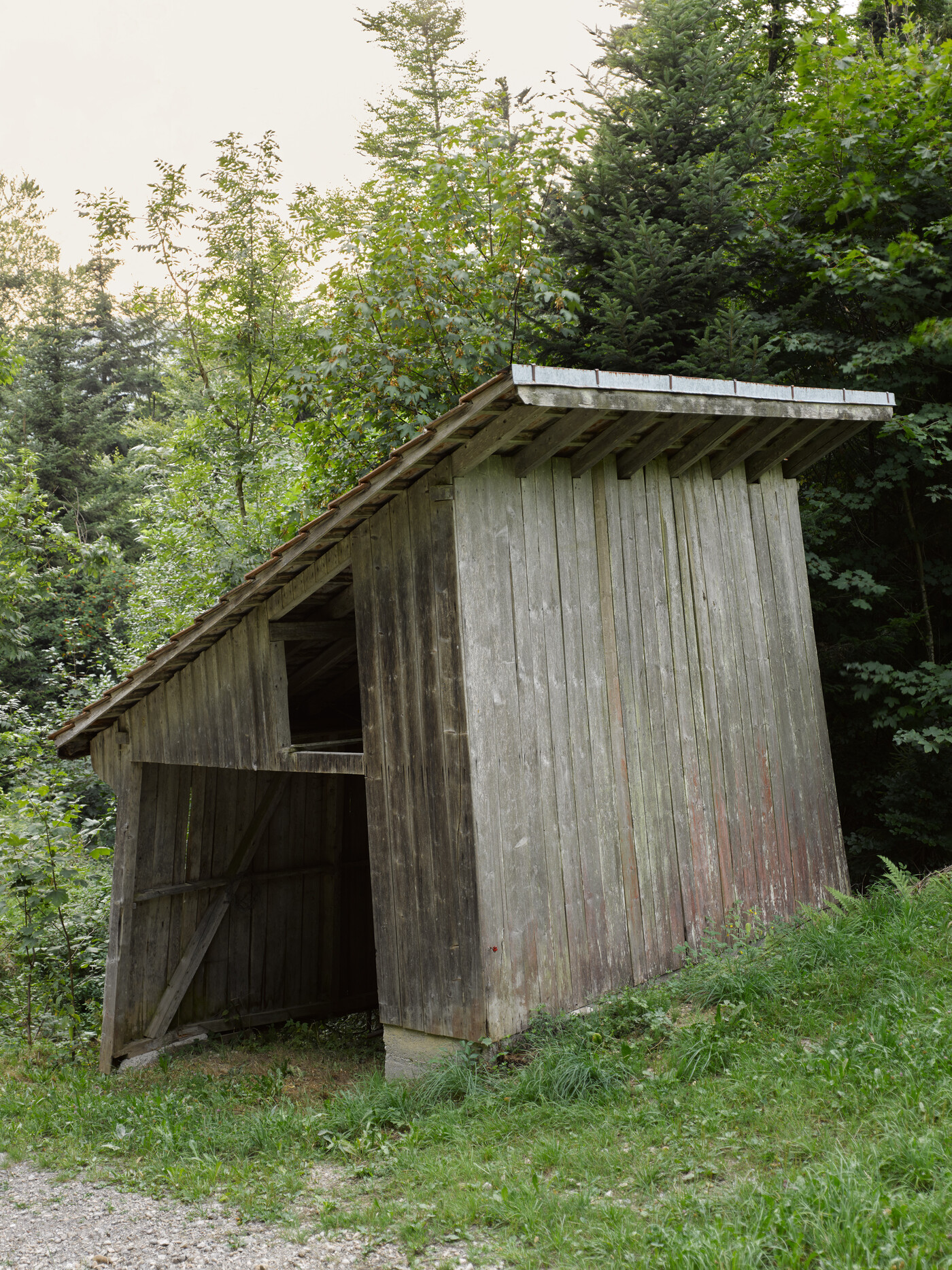 Schuppen